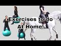 Improve Your Mobility Stability And Balance At Home Equestrian Exercises With A Fitness Ball
