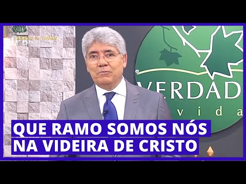 QUE RAMO SOMOS NÓS NA VIDEIRA DE CRISTO - Hernandes Dias Lopes