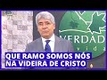 QUE RAMO SOMOS NÓS NA VIDEIRA DE CRISTO Hernandes Dias Lopes