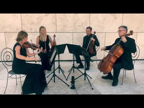 Solo, duo, trio, or quartet?