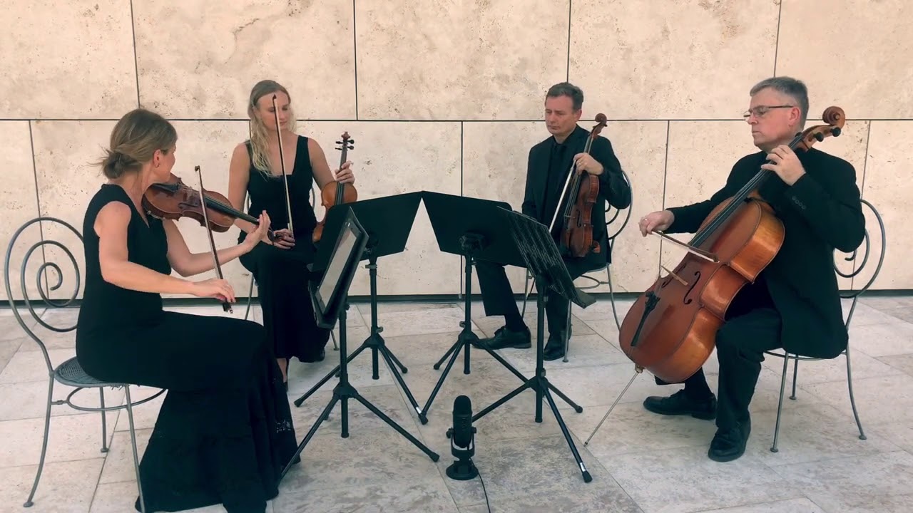 Promotional video thumbnail 5 for The Vanderbilt Strings