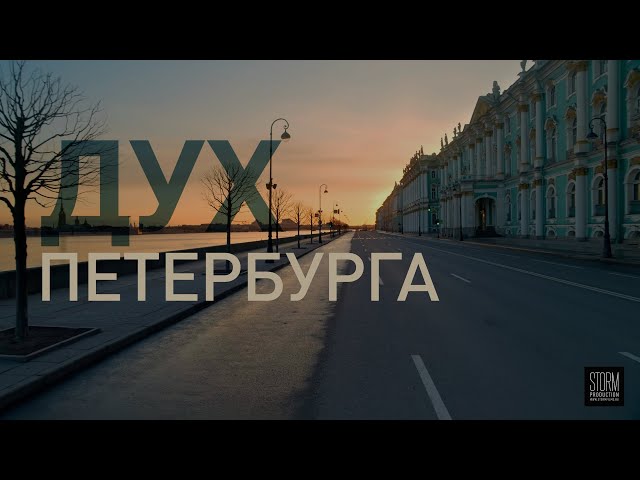 День москвича в питере