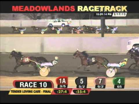 2012 Tender Loving Care Final - Jamie Sue & Tim Tetrick