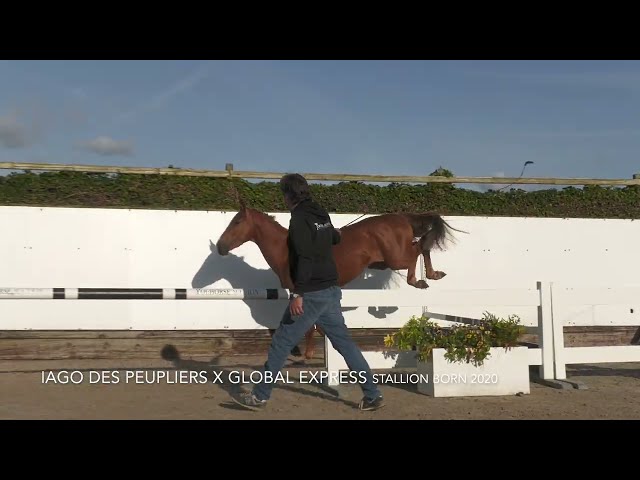 Utopico vd Donkhoeve