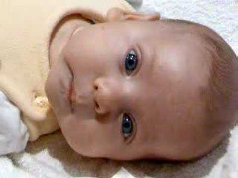 Roy listens to parpar nehmad