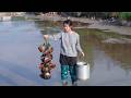 Draining The Water Of Pond Catching Shells Loaches Crayfish And A Lot Of Fish