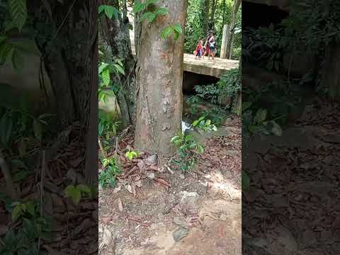 Travel with nabiha ( Algama Alla )#nature #srilanka #lake # trendingvideo