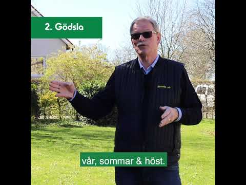 Grönytegödsel Skånefrö