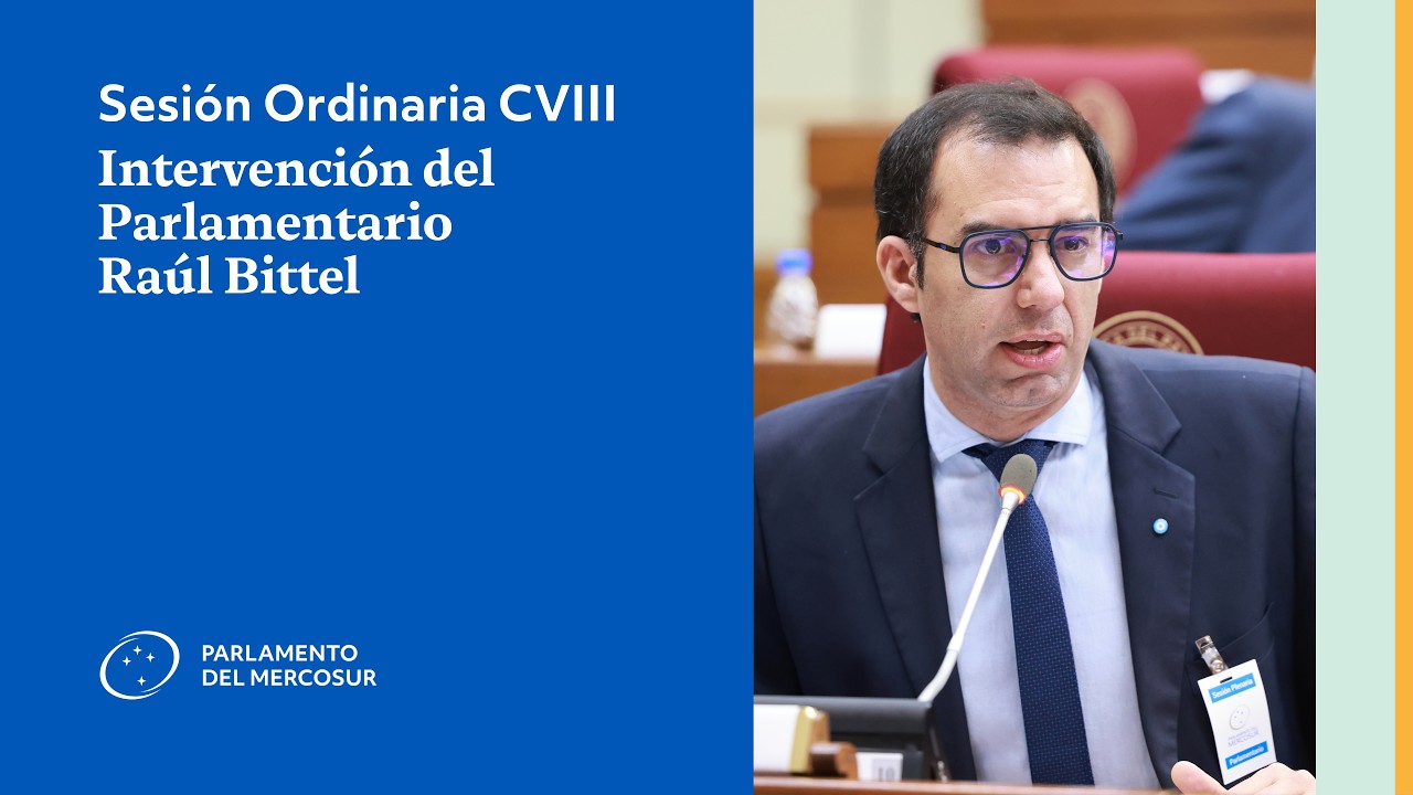 Intervención del Parlamentario Raúl Bittel - Sesión Ordinaria CVIII