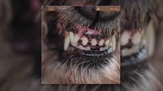 Blanck Mass - John Doe&#39;s Carnival of Error