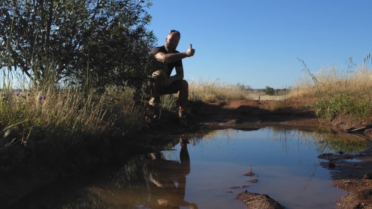 Wasteland to wildlife heaven, Things have been tough.