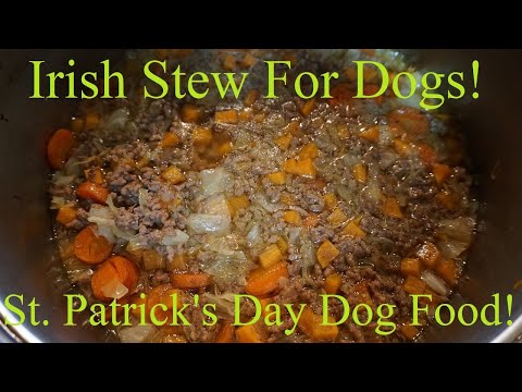 Irish Beef Stew For Dogs. 2020 St. Patrick's Day Dog Food!