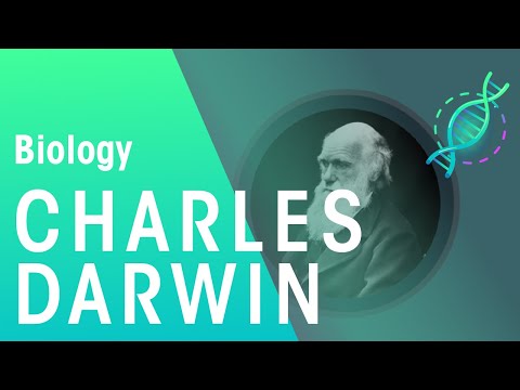 Charles Darwin's Observations | Evolution | Biology | FuseSchool