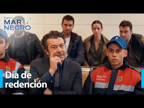 ¡Se ha hecho justicia! - Mar Negro Capítulo 206 | Fugitiva
