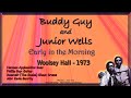 Buddy Guy and Junior Wells  - Early in the Morning - Live 1973