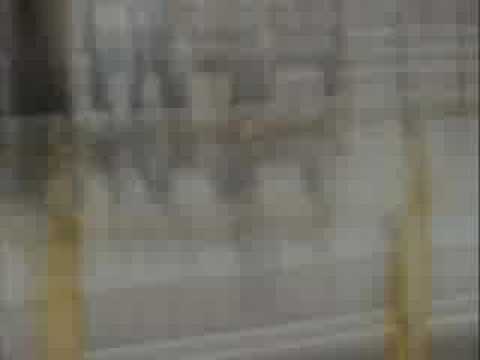 dalibor prochazka ostani tu