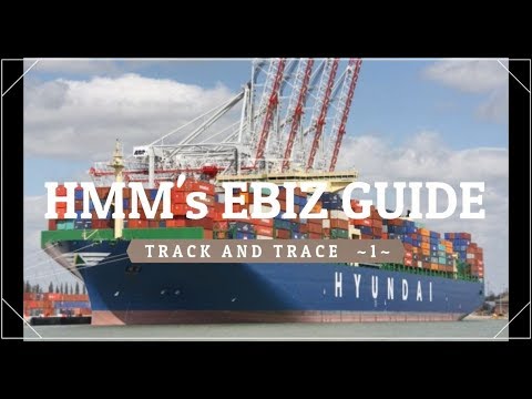 Hyundai Merchant Tracking