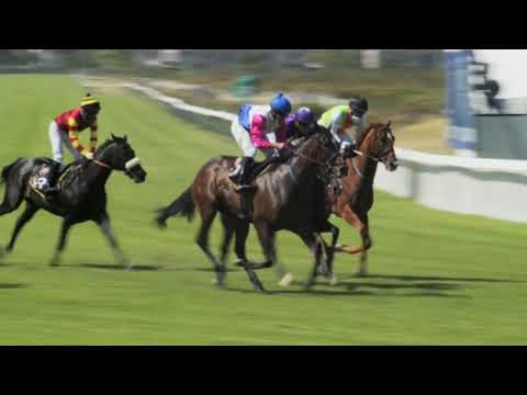 20210227 KENILWORTH  RACE 5 won by ZARINA