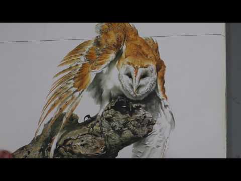 Ray Harris Ching: Artists I Love