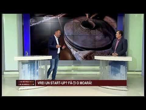 Cum sa faci bani din piatra seacă