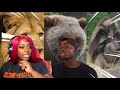 THESE ANIMALS ARE RUTHLESS! 🔥Top 10 Animals with Black Air Force Energy Casual Geographic REACTION!
