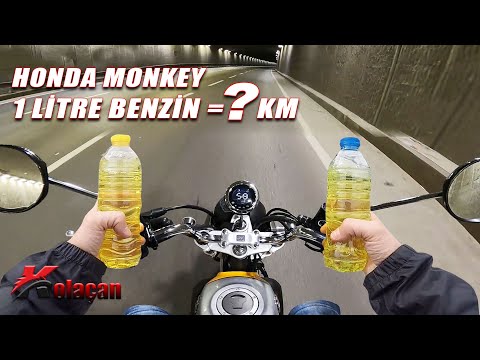 1 Litre benzin İle kaç km gidilir? | Honda Monkey motosiklet test ettim | Kolaçan