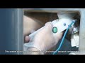 Automated Semen Collection Machine