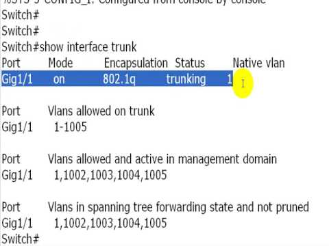 Study Guide for Cisco CCNA l Cisco CCNA simplified for free