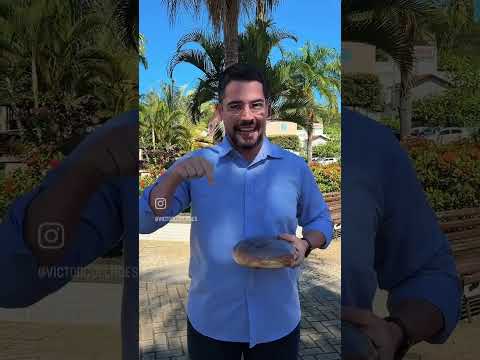 #BoraTuristar por Laranja da Terra!