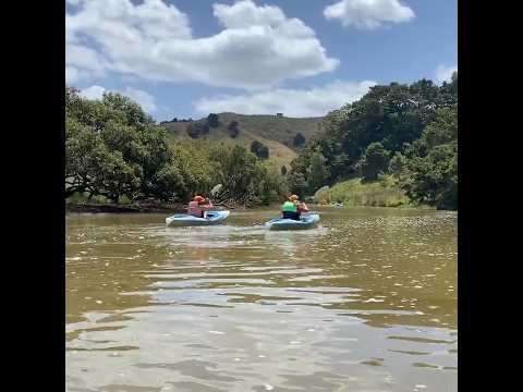 Beautiful Puhoi #kayaktour #riverkayaking #naturelovers #newzealand