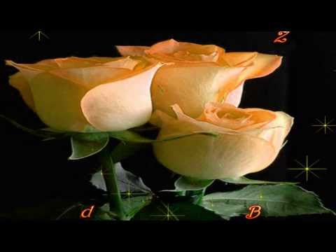 Imendan je Tvoj // Joza Becar ♥♥ இڿڰۣ-ڰۣ—