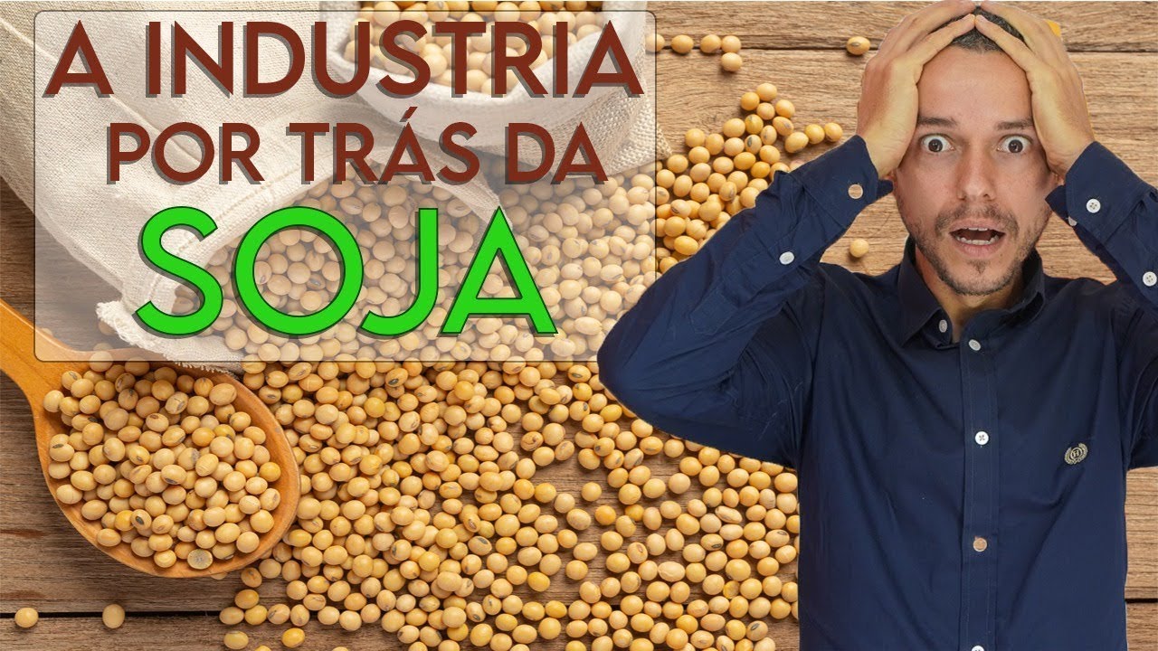 SOJA E CARNE DE SOJA FAZ BEM E UMA BOA FONTE DE PROTEINA VEGANA
