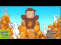 Curious George In Pumpkin Boo Gooo Kids Game Review