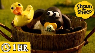 Download lagu Shaun the Sheep 🐑 Timmy's Bath Time & MORE 🧼 Full Episodes Compilation mp3