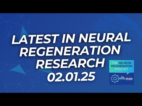 Advances in Neuroregeneration: Exercise, Reprogramming, Exosomes, Nanotech, and Brain Glue