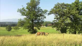 preview picture of video 'Landwirtschaft in Oberbayern: Landkreis Starnberg in Oberbayern'