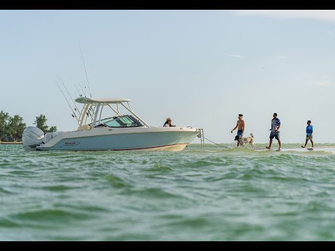 2026 Boston Whaler 240 Vantage   - New and Used Boats For Sale in Canada - M&P Boat Centre – Burnaby [690bec46420b6a42a5021c45]