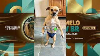 Objetivo da Semana é Que Ela Acabe Logo 🤣