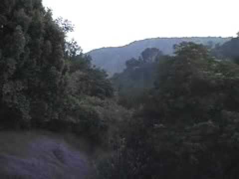 David Lynch Dot Com (sunset)