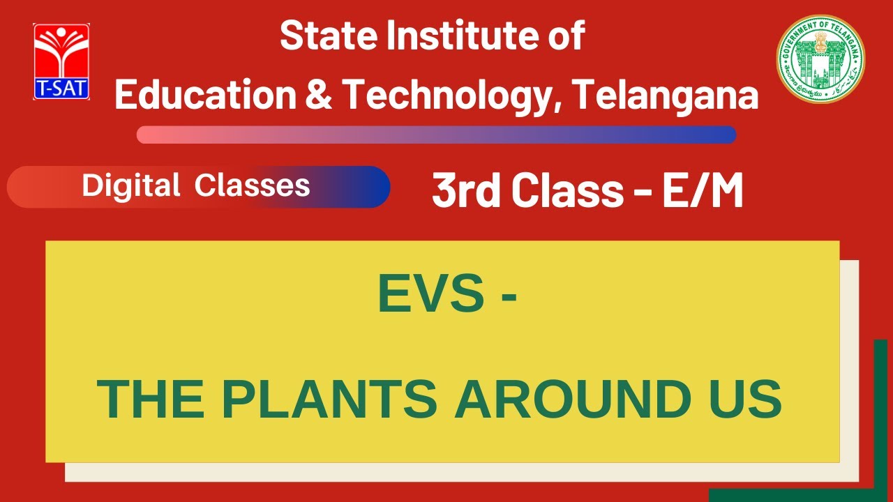 3rd Class (E/M) || EVS - THE PLANTS AROUND US (E/M)