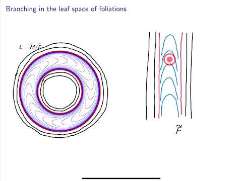 Taut foliations, left orders, and pseudo-Anosov flows (Jonathan Zung, NCNGT2021)