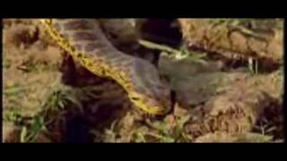 _Johnny "Hammond" Smith  *Los Conquistadores Chocolates*