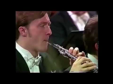 Mahler symphony 1, Bassoon Oboe solo
