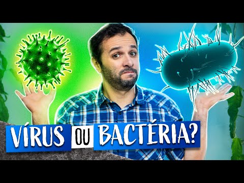 Bactérias e Vírus: Qual a Diferença?