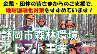 企業・団体の皆さま必見！静岡市森林環境アドプト事業をご紹介！