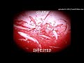 KILLA SHARKS - STILL SHARKIN