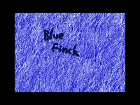 Blue Finch (Official audio) lyrics in the description