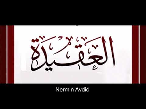 Vrste Malog nifaka (licemjerstva) | Nermin Avdić | 2018.