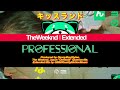 The Weeknd - Professional (Extended)