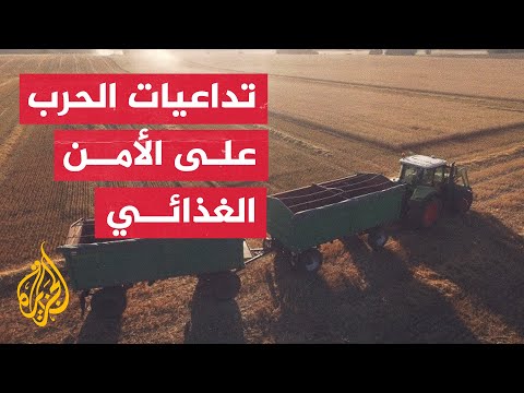 إيطاليا منع تصدير القمح الأوكراني يهدد بإشعال نزاعات في إفريقيا